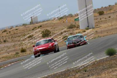 media/May-03-2025-Lucky Dog Racing (Sat) [[206de64b9d]]/Turn 6 (150pm-230pm)/